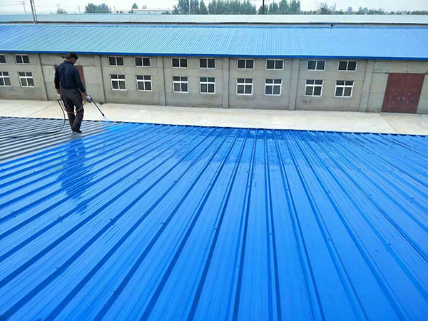 兴隆华侨农场 彩钢瓦喷漆翻新工业厂房、仓库